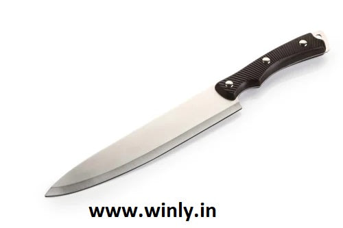 Royal Avanza 300 mm Chef Knife Code No: 267