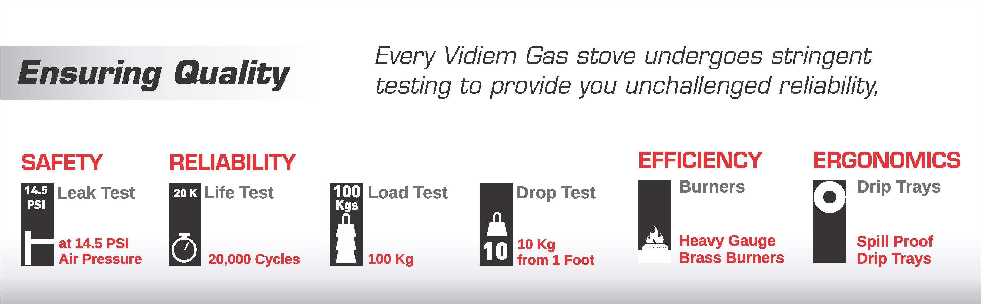 Viva Pro 2B VIDIEM SS