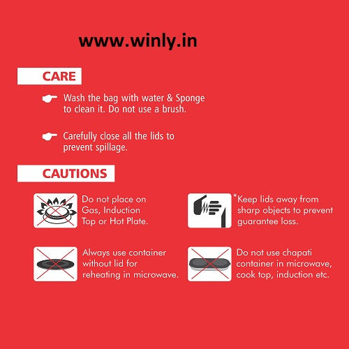 NanoNine Micro Steel Lunch Set: 2 Air-Tight (250ml X 2) Stainless Steel Containers, 1 Chapati Box, and Insulated Bag for Fresh and Delicious Meals On-the-Go